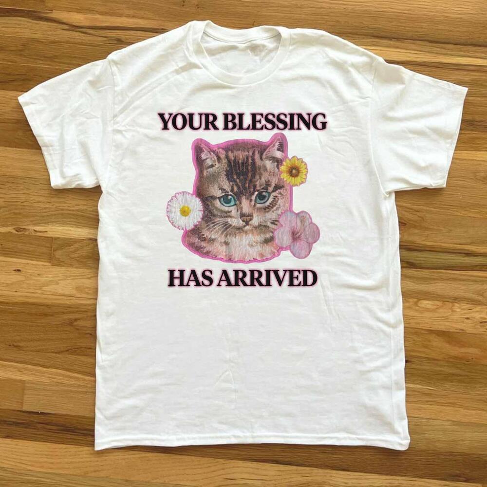Cute Cat Your Blessing Has Arrived T-Shirt